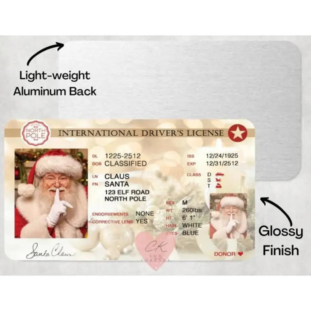 Santa’s Official Flying Licence