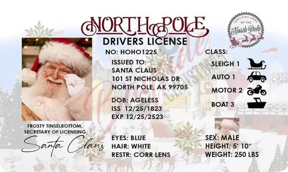 Santa’s Official Flying Licence