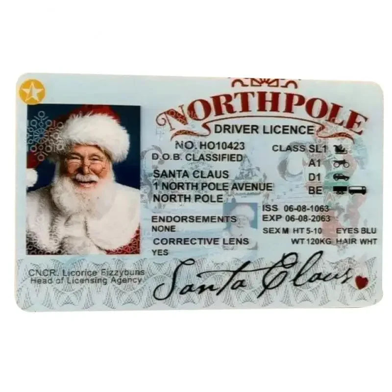 Santa’s Official Flying Licence
