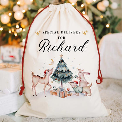 Luxury Personalised Christmas Gift Bag
